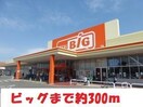 ビック(スーパー)まで300m 二瓶ハイツ