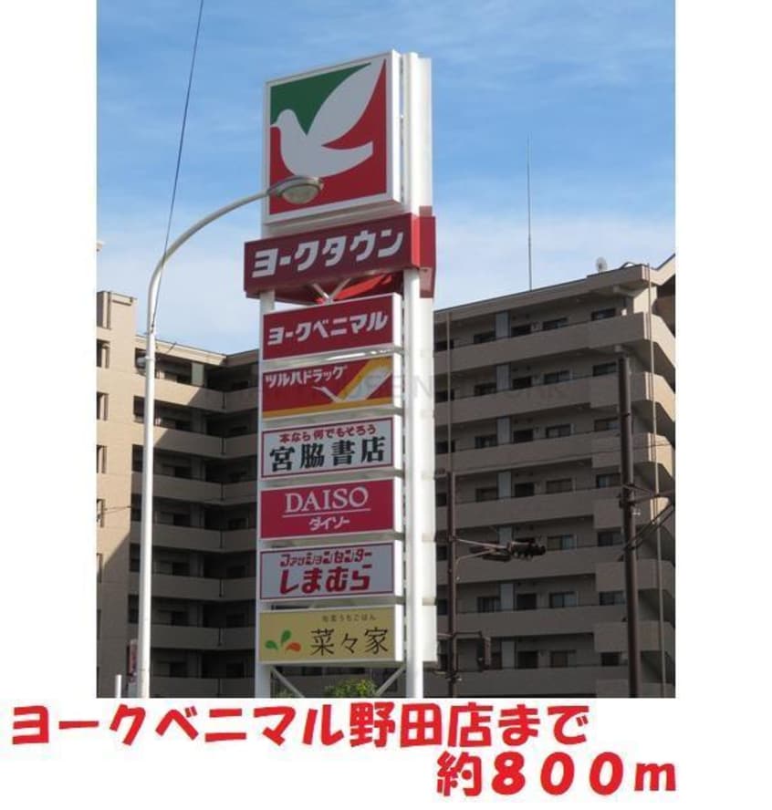 ヨークベニマル野田店(スーパー)まで800m ファミータ