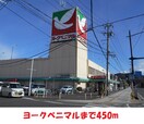 ヨークベニマル(スーパー)まで450m ライオンズマンション仲間町壱番館（603）