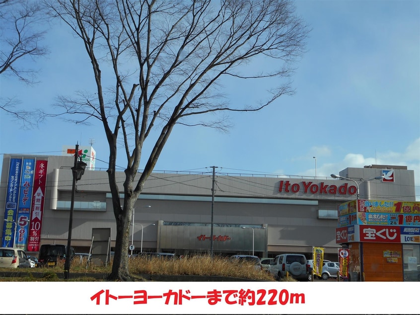 イトーヨーカドー(スーパー)まで250m RUMINE