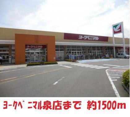 ヨークベニマル泉店(スーパー)まで1500m 西坂貸家（田中52-2）
