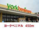 ヨークベニマル笹谷店(スーパー)まで450m 本間貸家（3号）