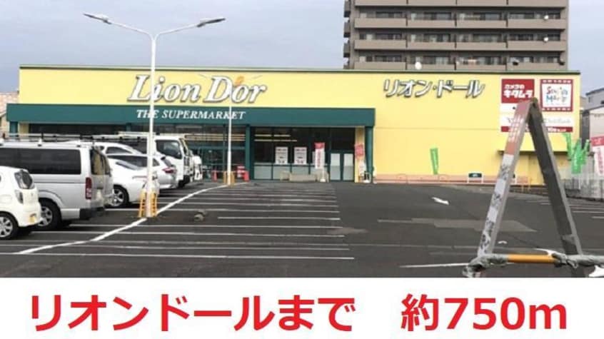 リオンドール(スーパー)まで750m アーバンハウス野田5