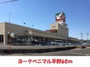 ヨークベニマル平野店(スーパー)まで60m 桜田AP