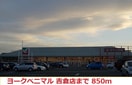 ヨークベニマル 吉倉店(スーパー)まで850m プリメーラ八木田