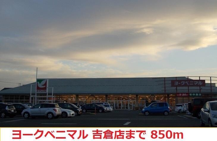 ヨークベニマル 吉倉店(スーパー)まで850m プリメーラ八木田