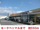 ヨークベニマル(スーパー)まで550m リッチフィールド