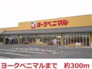 ヨークベニマル(スーパー)まで300m グレイスリーコートNODA　SOUTH