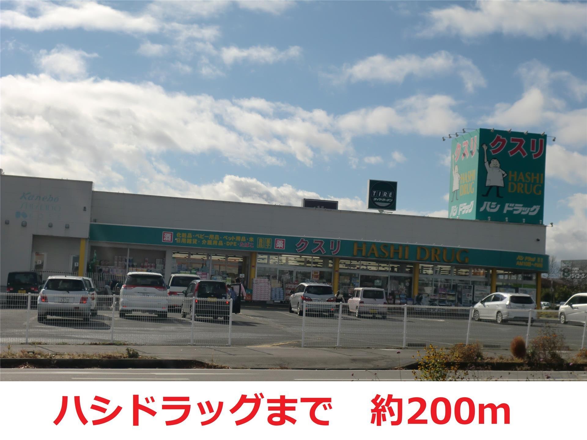 ハシドラッグ(ドラッグストア)まで200m グレイスリーコートNODA　SOUTH