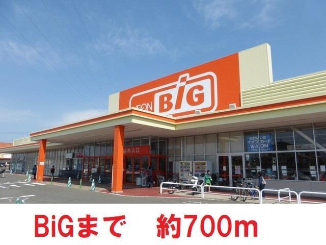 BiG(スーパー)まで700m カーサ・フォルトナC