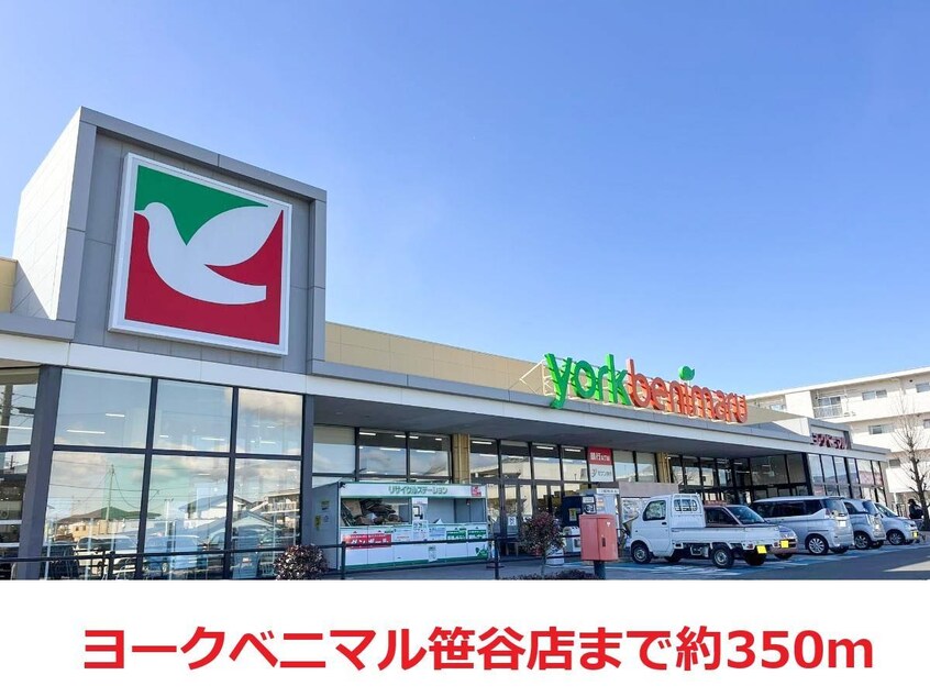 ヨークベニマル笹谷店(スーパー)まで350m フェリーチェ