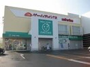 ザグザグフレスポ高屋店(ドラッグストア)まで1057m ネオ　コンテ　Ｂ