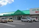 ザグザグ小山店(ドラッグストア)まで1430m エスペランザ