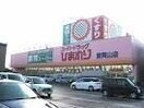 スーパードラッグひまわり東岡山店(ドラッグストア)まで745m ベルフルール