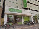 ザ・ダイソー岡山表町店(電気量販店/ホームセンター)まで462m Park Grande 蕃山