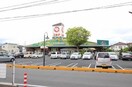 ニシナフードバスケット三門店(スーパー)まで500m レオネクストシモイフク