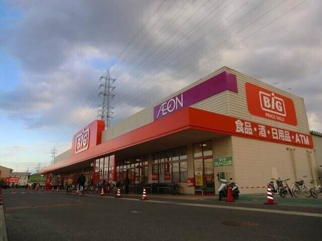 ザ・ビッグ奥田南店(スーパー)まで308m ルアナ医大南