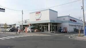 わたなべ生鮮館下中野店(スーパー)まで804m ホーネスト