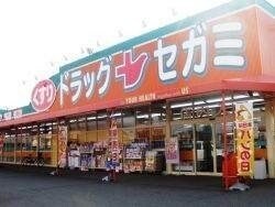 セガミ岡大病院前店(ドラッグストア)まで557m エレガンス大供