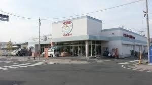 わたなべ生鮮館下中野店(スーパー)まで741m ラッフィナート