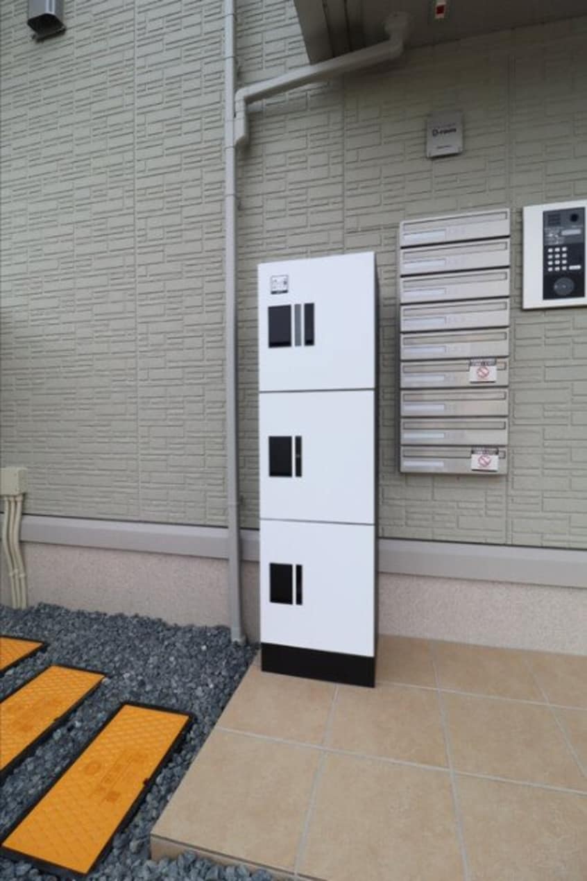  コスモソラーレ