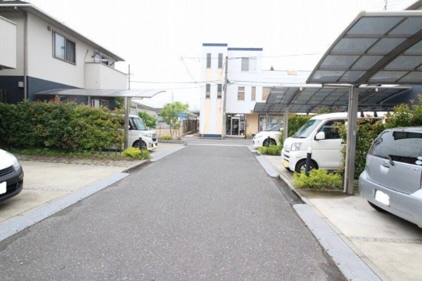  グリーンセトル万倍　