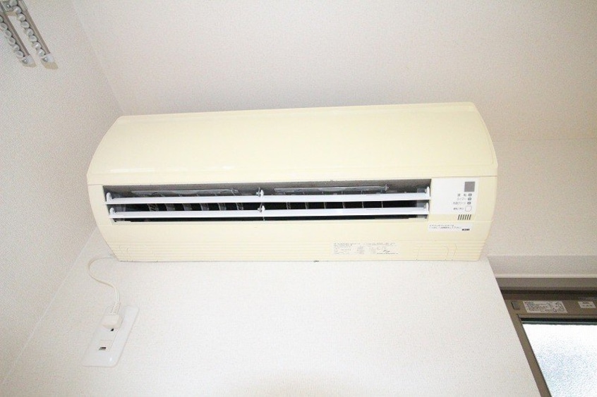  グリーンセトル万倍　