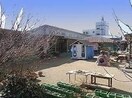 共生保育園(幼稚園/保育園)まで238m ロイヤルガーデンタワー岡山幸町