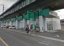 ザグザグ高島店(ドラッグストア)まで1995m トリシア原尾島