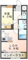 ラポール 1LDKの間取り