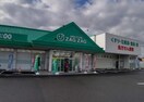 ザグザグ小山店(ドラッグストア)まで1430m エスペランザ
