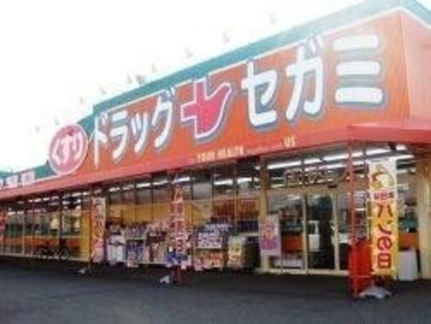 セガミ岡大病院前店(ドラッグストア)まで618m レジデンスカープ南中央町
