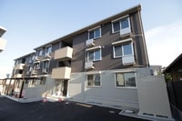 パームツリーＢ