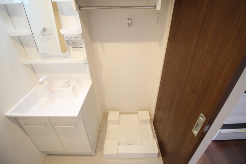  パームツリーＢ