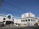 わたなべ生鮮館庭瀬店(スーパー)まで2041m グランフェリス　B棟
