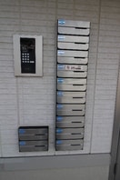  Fフォレスト