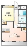 アルヴィータ 1LDKの間取り