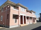 プラムの外観