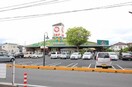 ニシナフードバスケット三門店(スーパー)まで282m Sunshine Gardens　高柳
