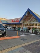 山陽マルナカ 大元店(スーパー)まで437m フェリスコートⅡ