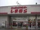 ファッションセンターしまむら下中野店(ショッピングセンター/アウトレットモール)まで1044m フェリスコートⅡ