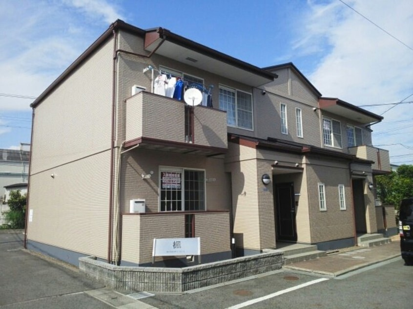  楓