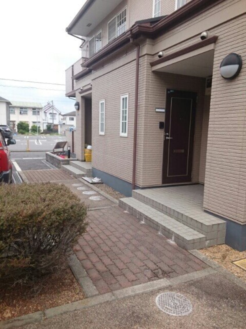  楓