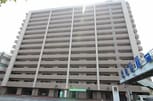 アルファステイツ大学病院通り