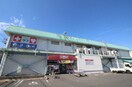 くすりのラブ福田店(ドラッグストア)まで1389m ドミールB