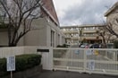 岡山市立伊島小学校(小学校)まで1984m Little Wing