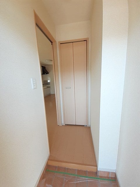  グラシオッソ　幹