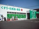 ザグザグ大元店(ドラッグストア)まで295m レオパレスシャルマン　タナカⅡ