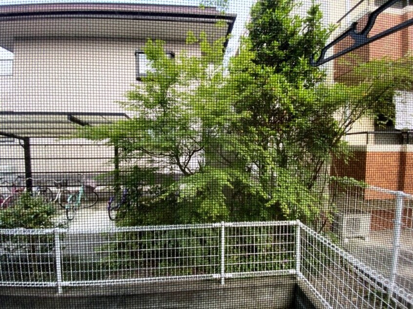  エントピア学南B