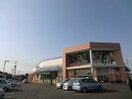 山陽マルナカ高柳店(スーパー)まで225m ハイフォレスト　Ⅲ